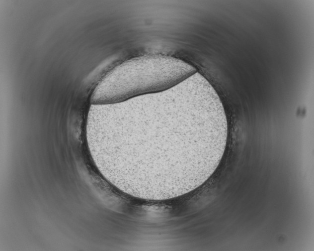 X0000112100693200909151200