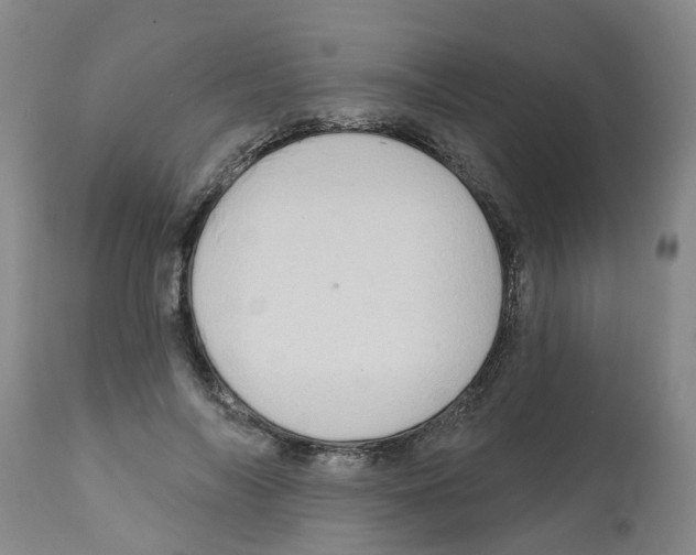 X0000112100694200909151200