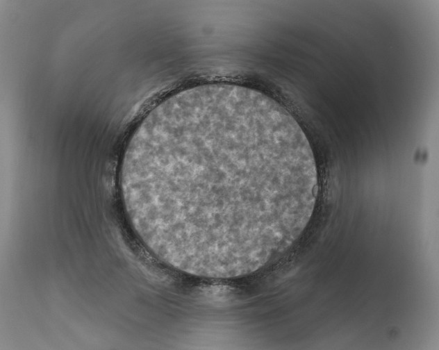 X0000112100695200909151200