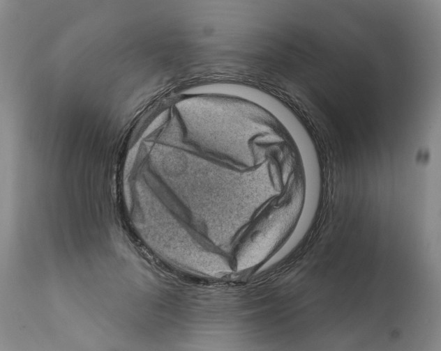 X0000112100696200909151200