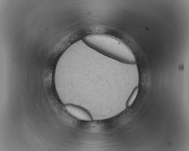 X0000112100697200909151200