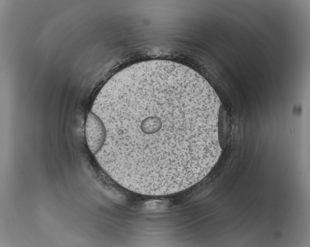X0000112100700200909151200