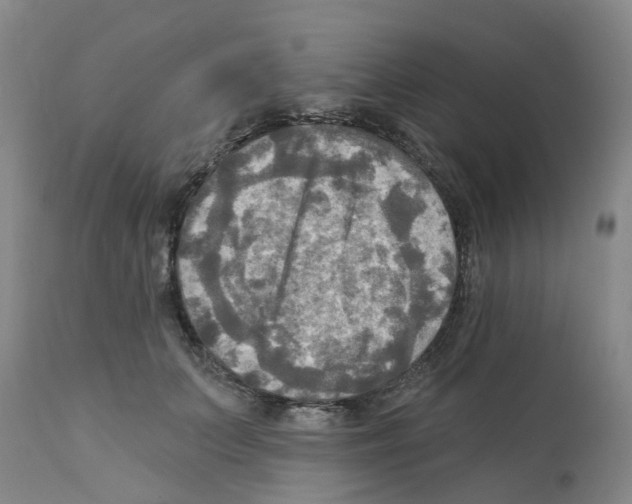 X0000112100703200909151200
