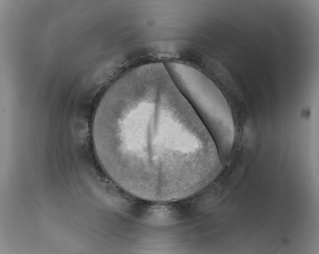 X0000112100704200909151200