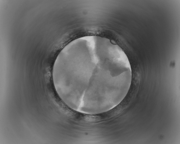 X0000112100707200909151200
