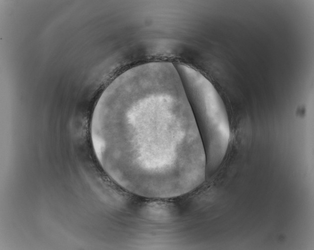 X0000112100708200909151200