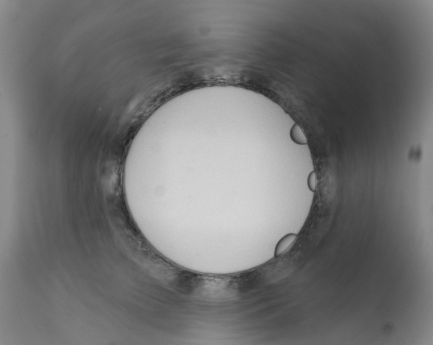 X0000112100709200909151200