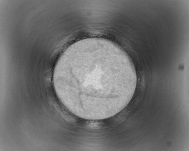 X0000112100710200909151200