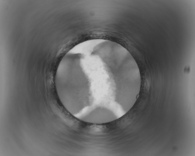 X0000112100711200909151200