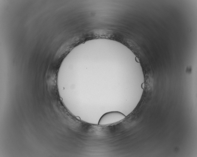 X0000112100713200909151200