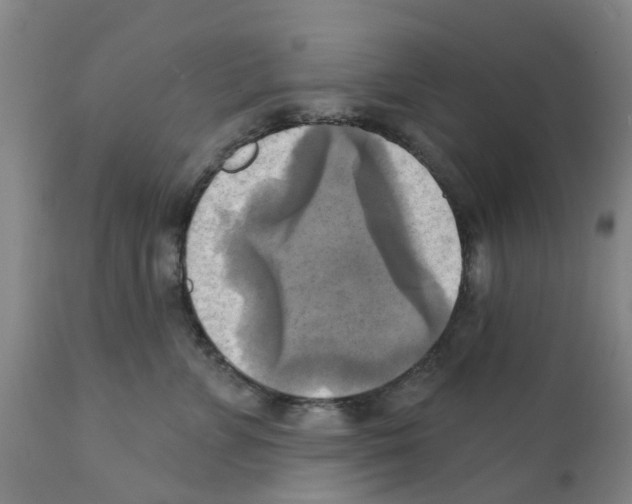 X0000112100715200909151200