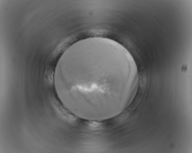 X0000112100718200909151200