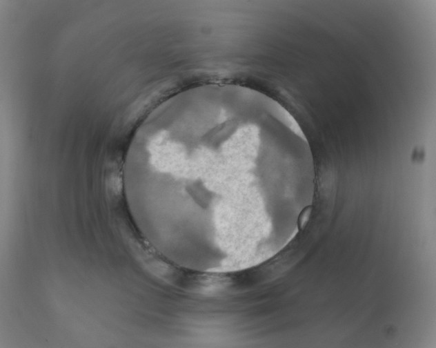 X0000112100719200909151200