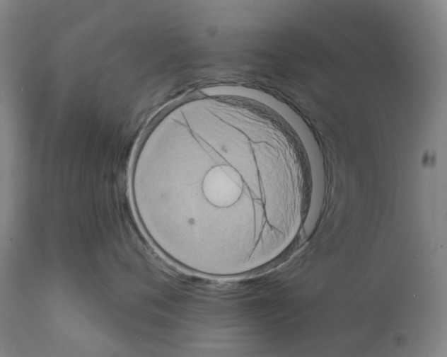 X0000112100720200909151200