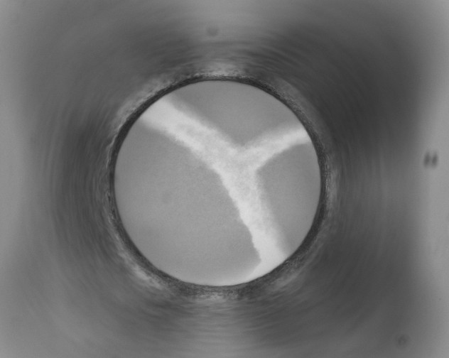 X0000112100721200909151159