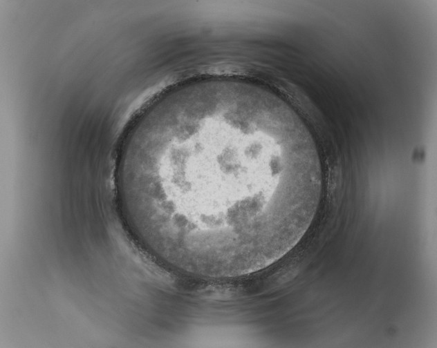 X0000112100727200909151159