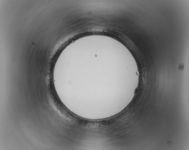 X0000112100728200909151159