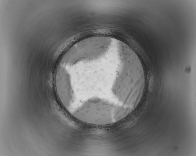 X0000112100729200909151159