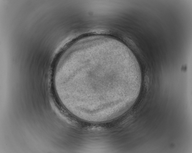 X0000112100730200909151159