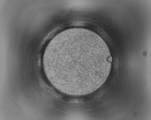 X0000112100731200909151159