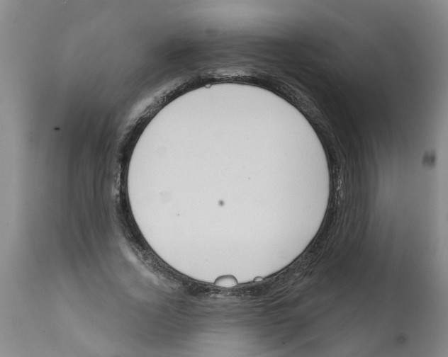 X0000112100732200909151159