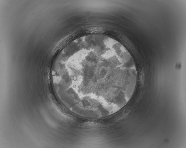 X0000112100733200909151159