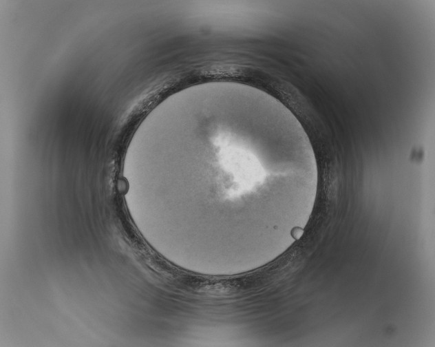 X0000112100735200909151159