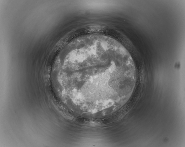 X0000112100737200909151159