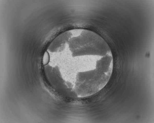 X0000112100738200909151159