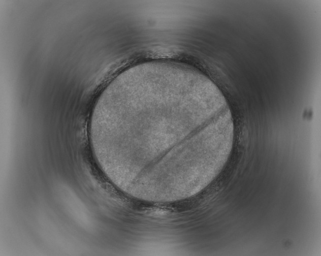 X0000112100743200909151159