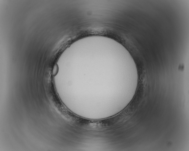 X0000112100744200909151159