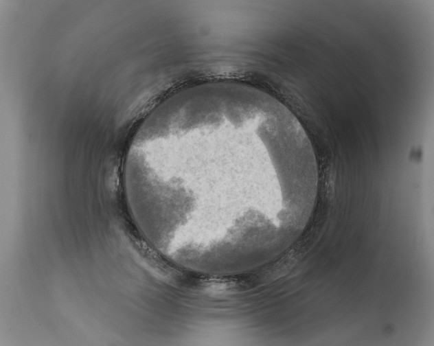 X0000112100746200909151159
