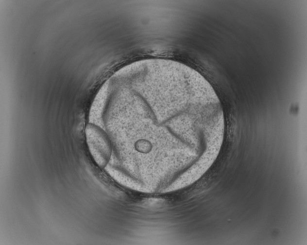 X0000112100748200909151159