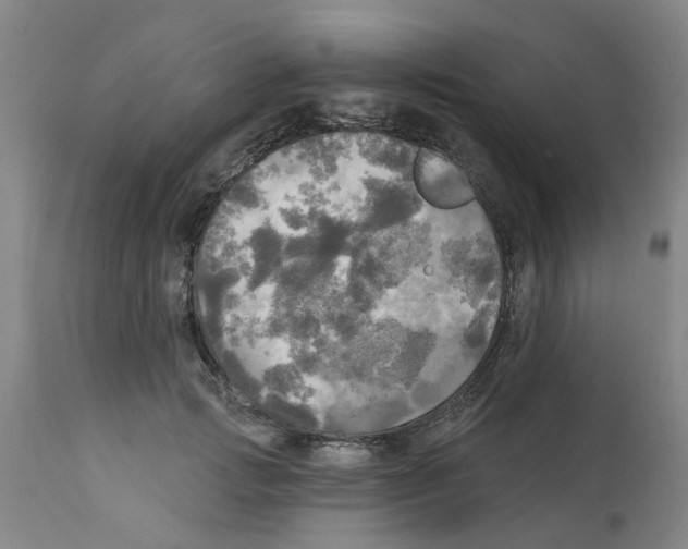 X0000112100749200909151159