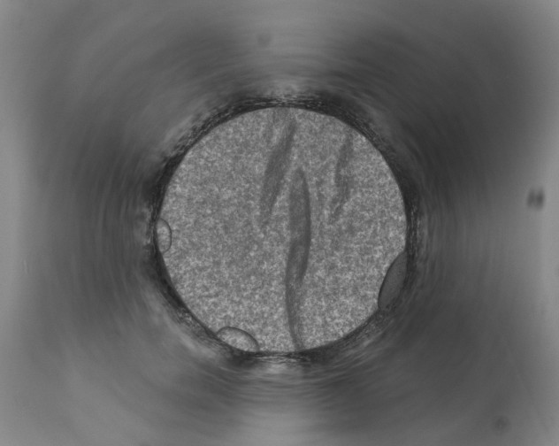 X0000112100750200909151159