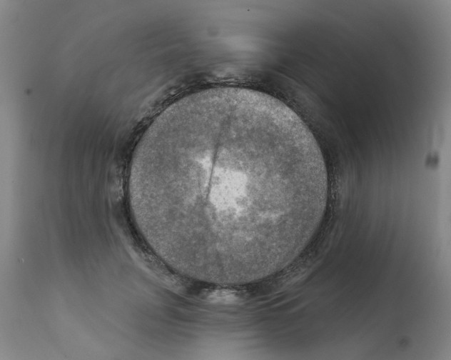 X0000112100751200909151159