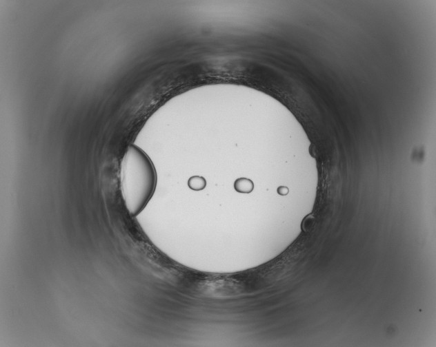 X0000112100752200909151159
