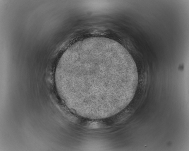 X0000112100755200909151159