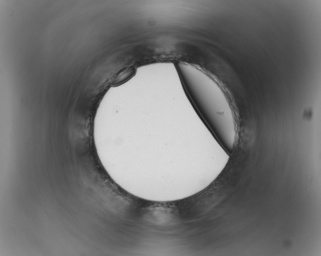 X0000112100756200909151159