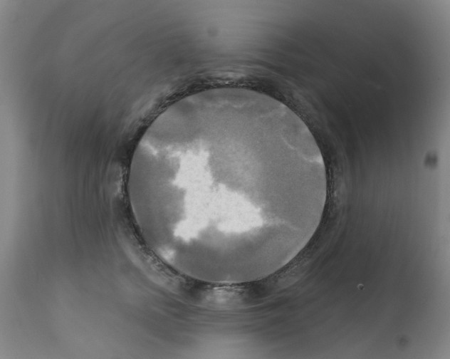 X0000112100758200909151159