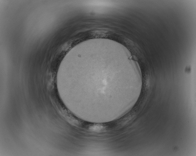 X0000112100759200909151159
