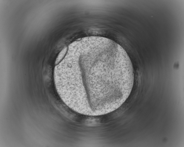 X0000112100760200909151159