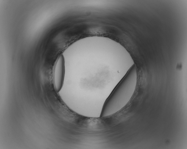 X0000112100762200909151159