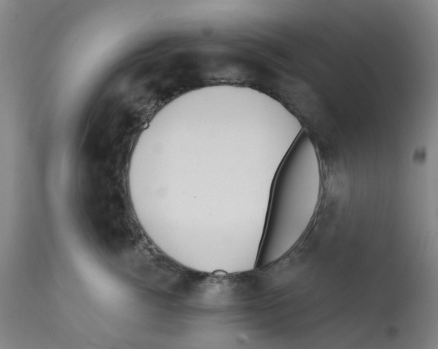 X0000112100764200909151159