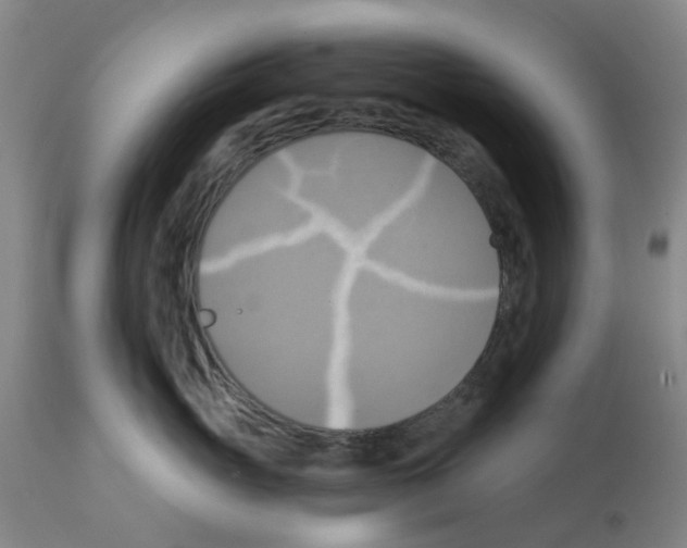 X0000112100765200909151159