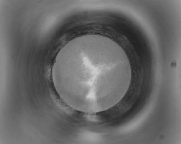 X0000112100767200909151200