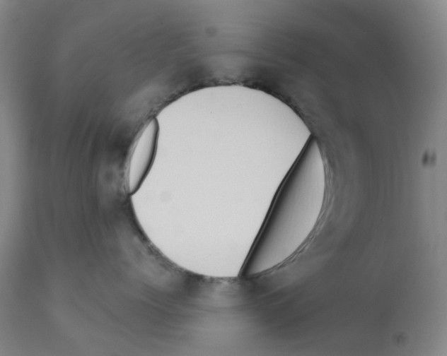 X0000112100768200909151200