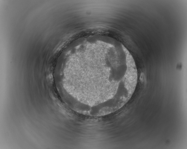 X0000112100771200909151159