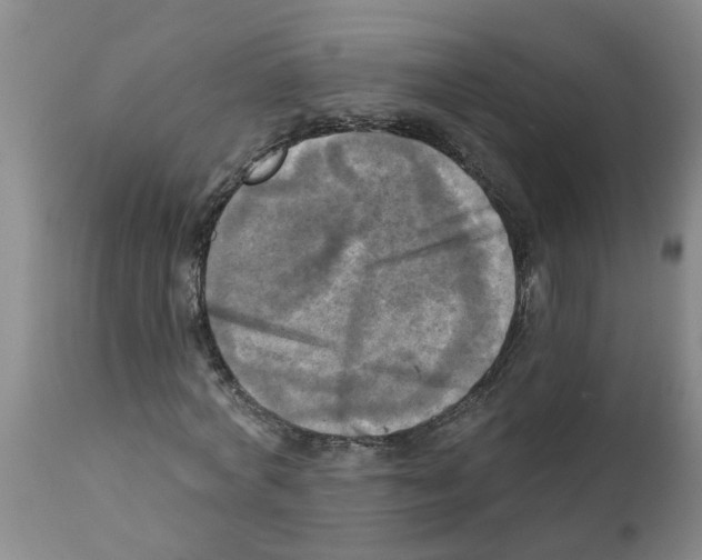 X0000112100772200909151159