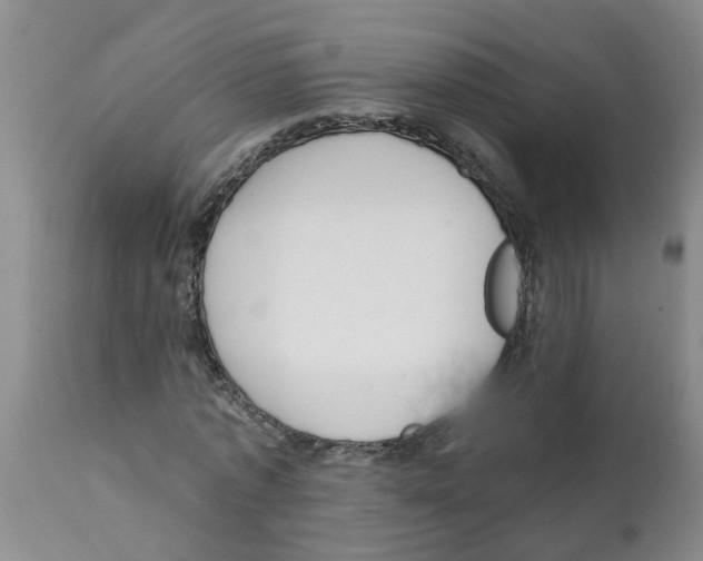 X0000112100773200909151159